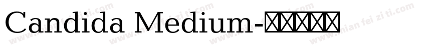 Candida Medium字体转换